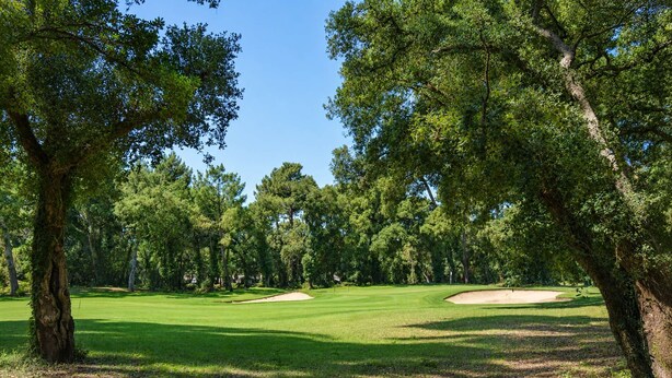 Un parcours de golf avec un gazon bien entretenu, des bunkers de sable et un ciel dégagé.