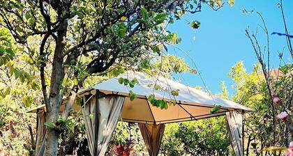 Standard room with mountain view