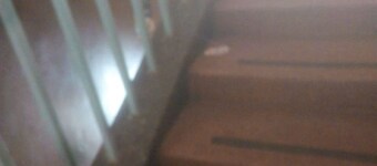 Three Shade Guest House - Adults Only