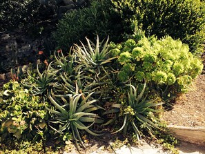 Dettaglio esterni