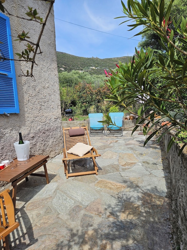 Terras
