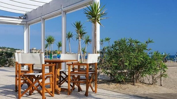 Un espace extérieur aménagé avec une table et des chaises, entouré de palmiers et offrant une vue sur la plage.