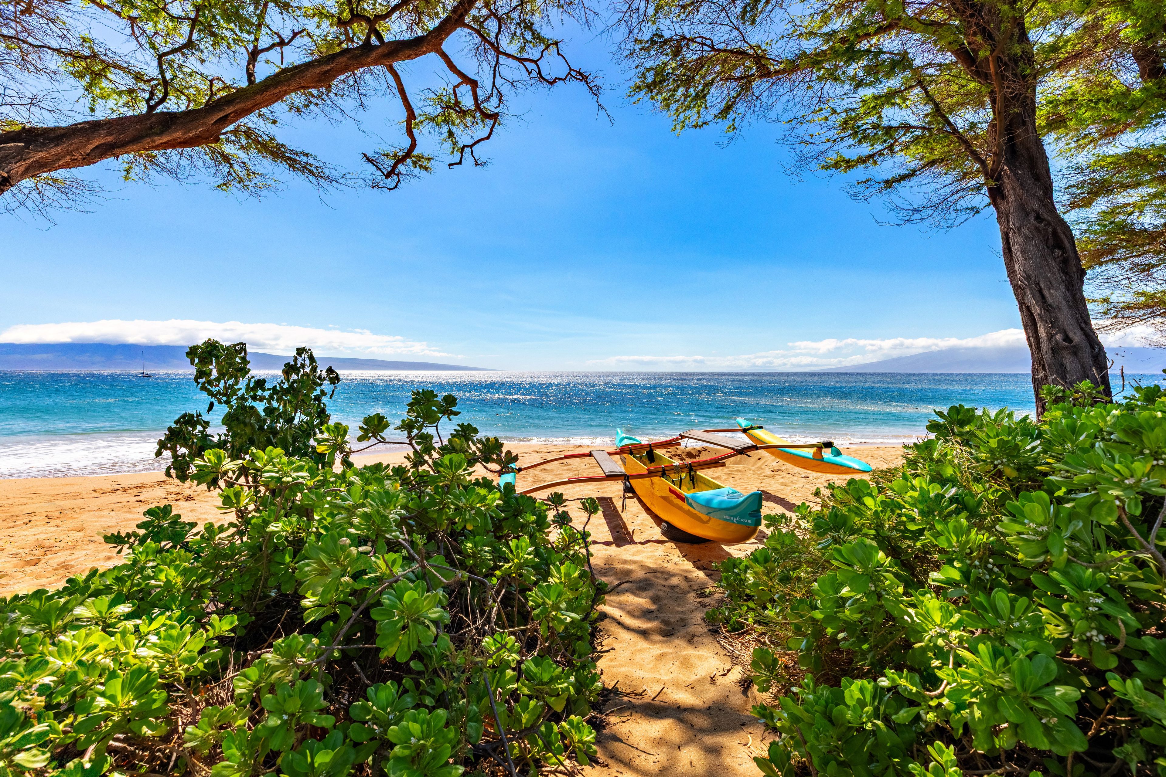 A beach with a boat and lush greenery.