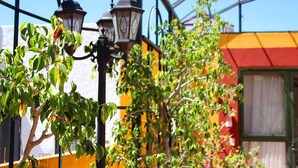 Une serre avec une structure en métal, un mur jaune et une porte verte.