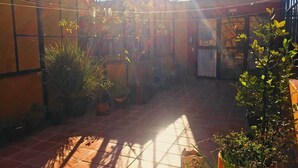 Une serre avec un toit en verre, des plantes en pot et un sol carrelé.