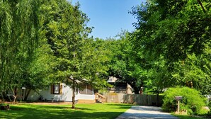 Een woonstraat met huizen, een trottoir en weelderige begroeiing.