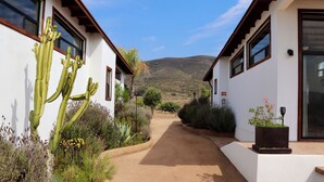 Un chemin menant à un bâtiment aux murs blancs et aux bordures sombres, entouré de cactus et de plantes désertiques.