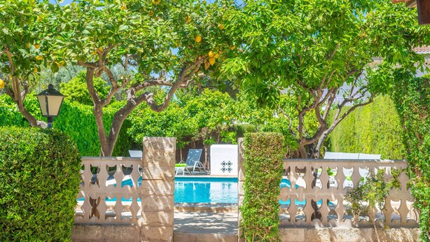 A pool area with a view of the pool, surrounded by trees and a decorative fence. - CAN MIQUEL (TORD) - Fantastic house with terrace and private pool, and located just 300 me (Muro)