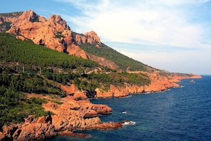 Paisagem costeira com falésias rochosas, vegetação densa e vista clara do mar.
