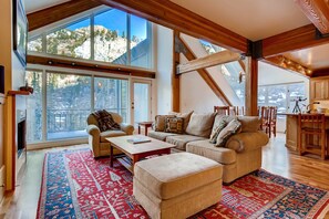 TV, fireplace