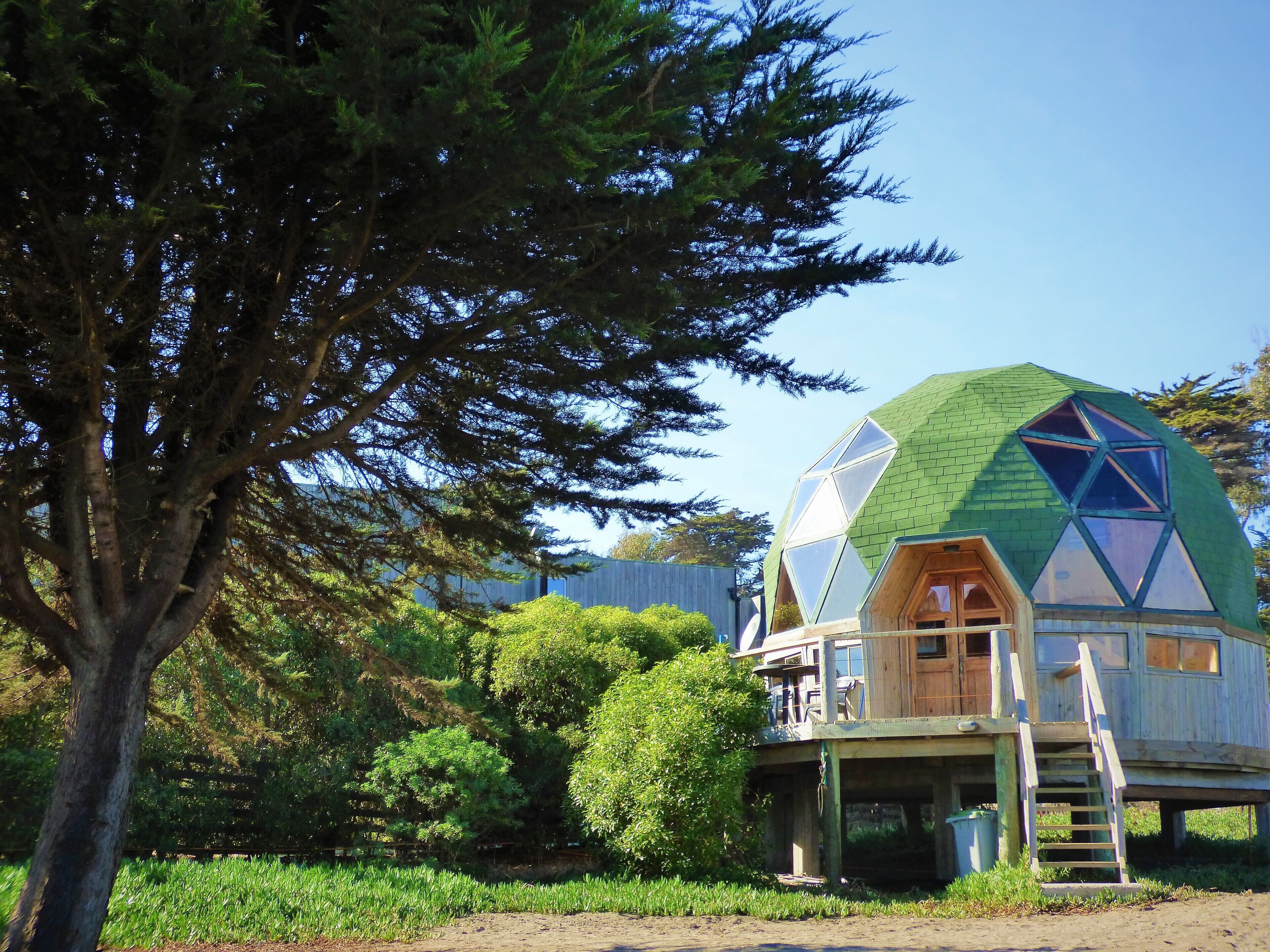 A geodesic dome house with a wooden deck and a ladder leading to the entrance.