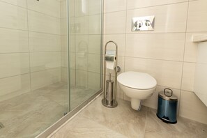 Shower, hair dryer, bathrobes, towels