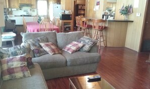 TV, fireplace, DVD player