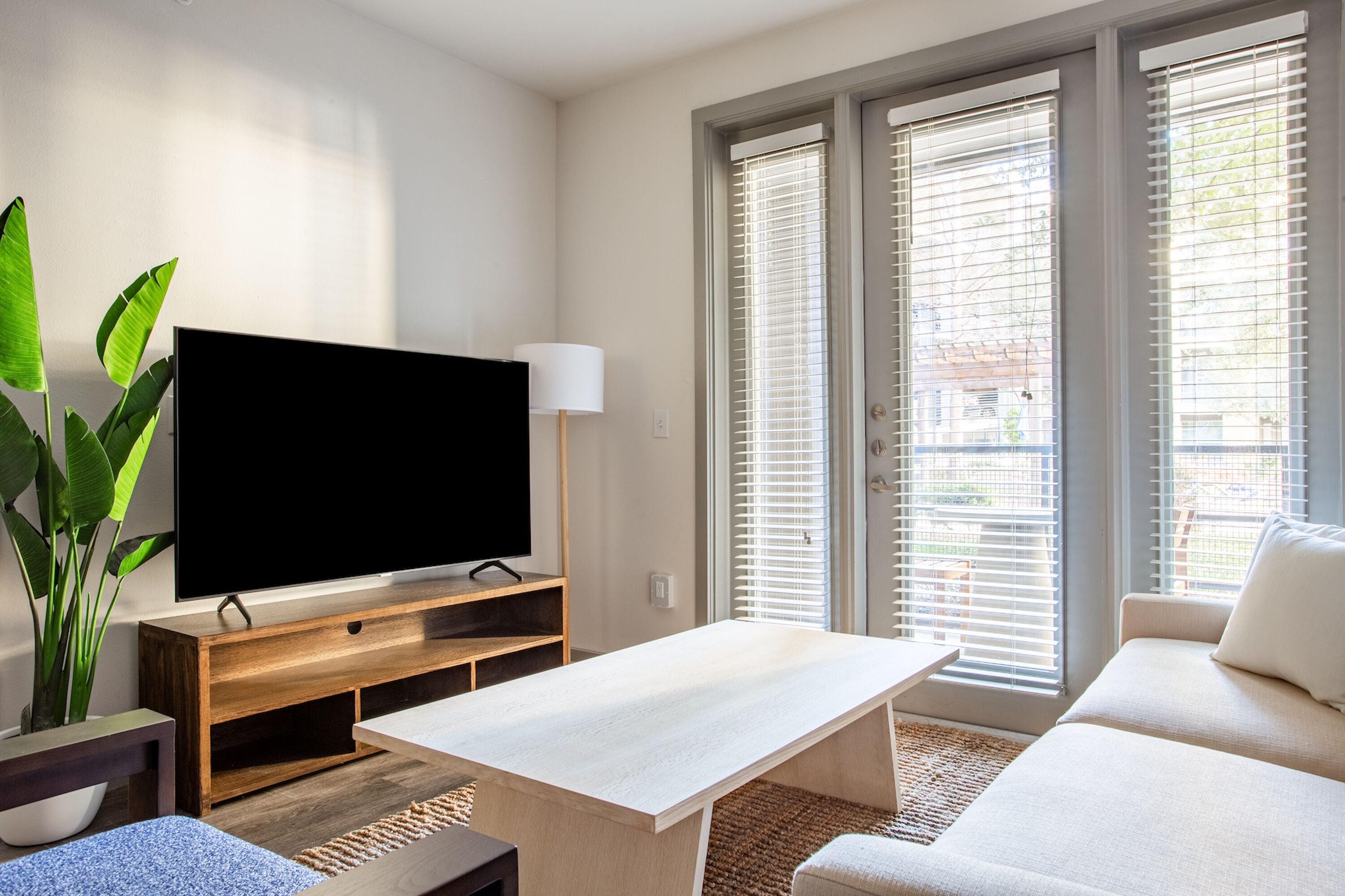 A modern living room with a flat-screen TV on a wooden stand, a white sofa, a coffee table, and a large plant.