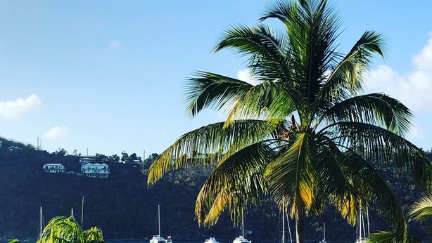 Escena costera con vista despejada de barcos anclados en aguas tranquilas, rodeada de exuberante vegetación y una palmera destacada.