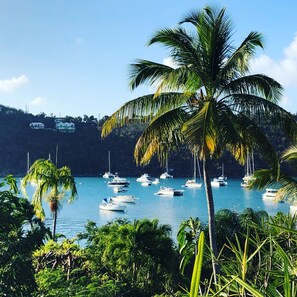 A coastal scene with a clear view of boats anchored in calm waters, surrounded by lush greenery and a prominent palm tree.