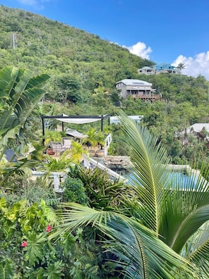 A tropical resort with a pool, outdoor seating, and lush greenery.