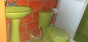 Shower, towels, soap, toilet paper