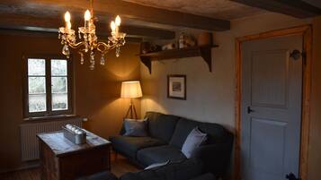 TV, fireplace, books