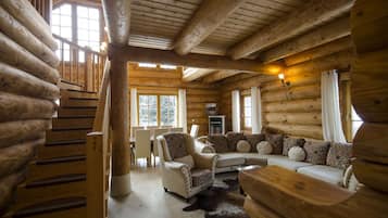 Télévision, cheminée, jeux vidéo, lecteur de DVD