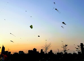 Experience the vibrant city skyline with kites soaring overhead.