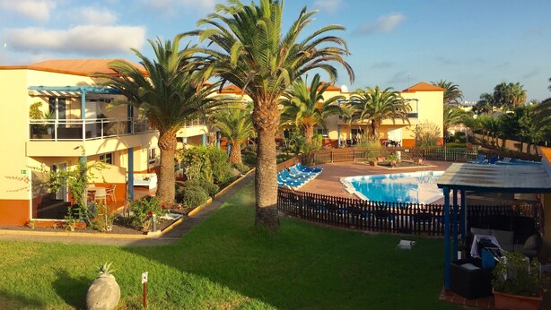 A resort with a swimming pool, palm trees, and a covered seating area.