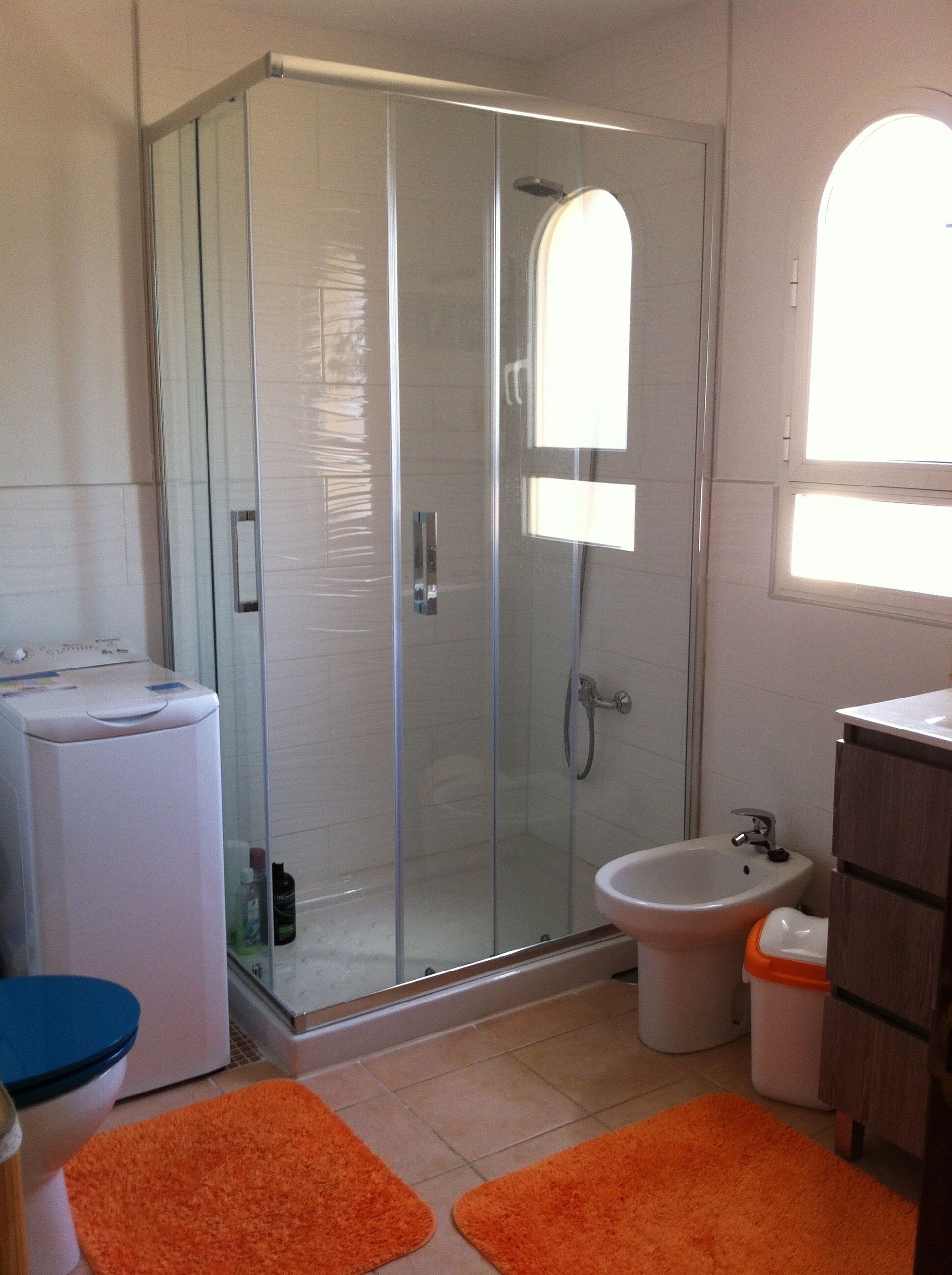 Shower, hair dryer, bidet, towels