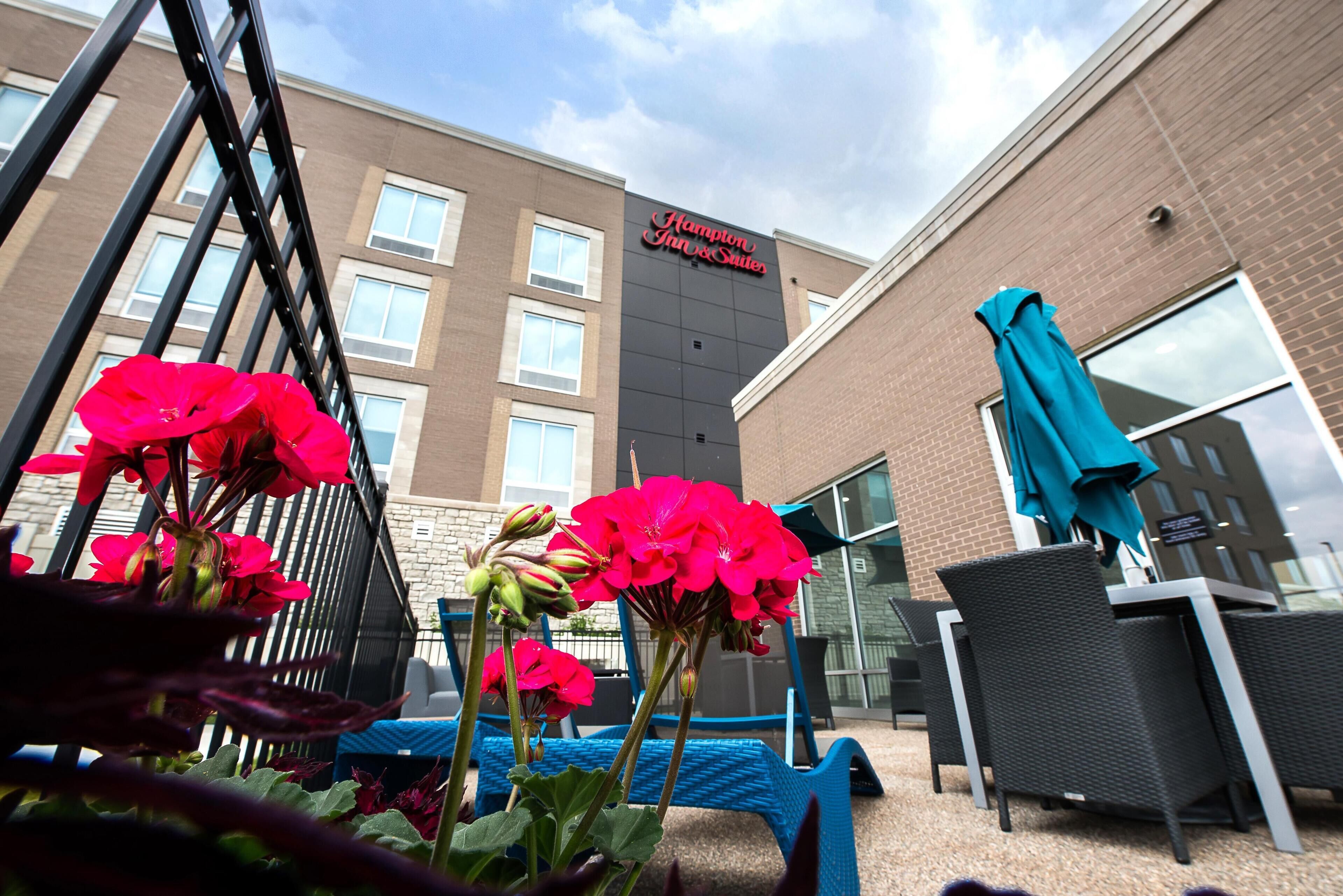 A Hampton Inn & Suites with outdoor seating and bright red flowers in the foreground.