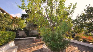A courtyard with brick paving, a central tree, and various shrubs. - Residence a Palinuro ID 559 (Palinuro)