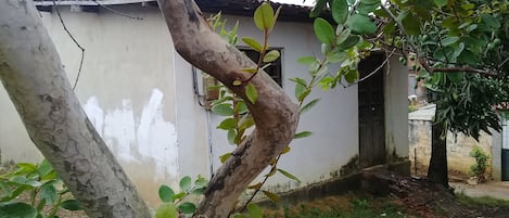 تفاصيل الفندق من الخارج