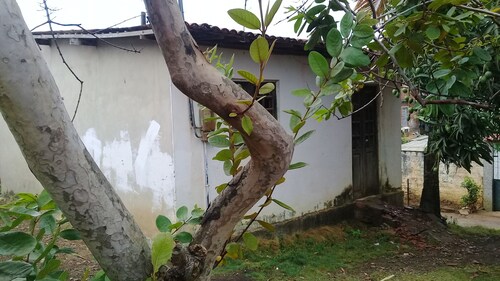 house to rent for the carnival period. close to bairronovo olinda beach