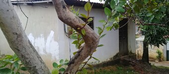 house to rent for the carnival period. close to bairronovo olinda beach