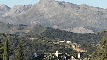 Vue aérienne