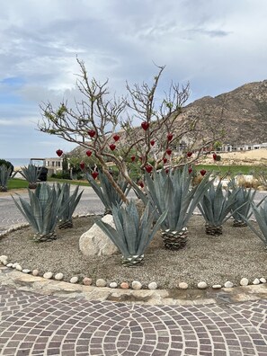 Terrein van de accommodatie