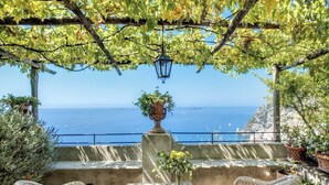 A terrace with wicker furniture, a potted plant, and a view of the sea. - Villa San Giacomo - Unique Villa in Positano (Positano)