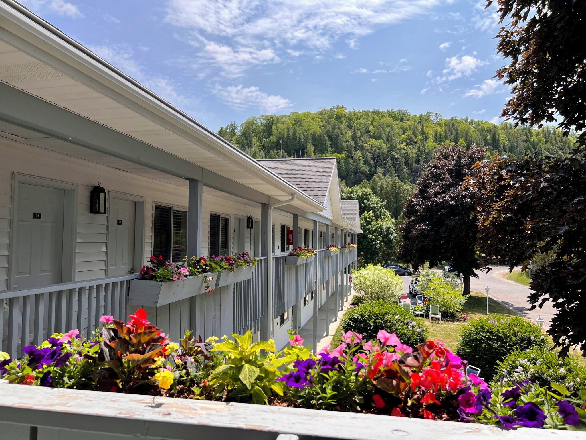 A row of white buildings with numbered doors, a balcony with colorful flowers, and a forested hill in the background.