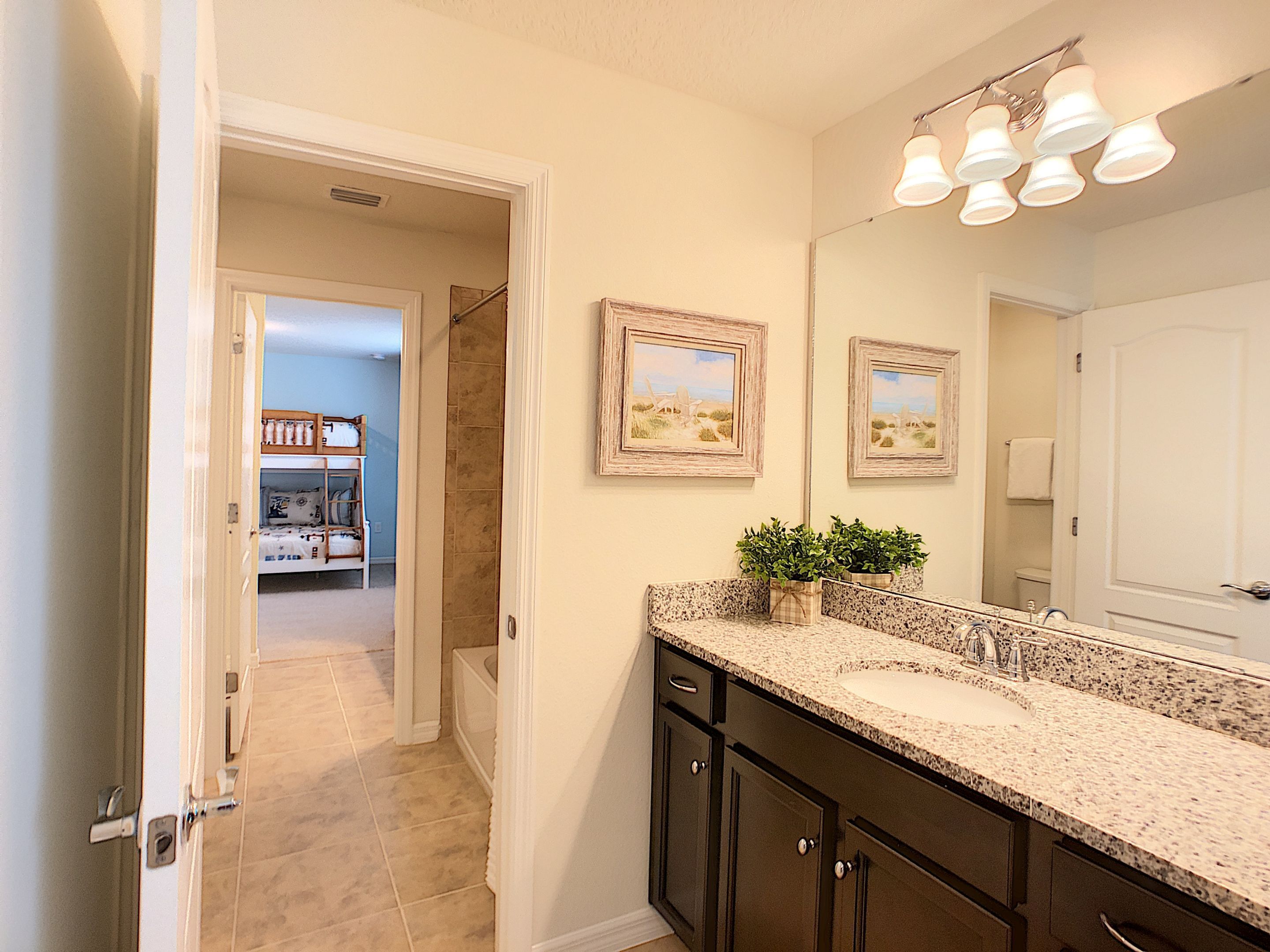 A bathroom with a granite countertop, dark cabinets, and a large mirror. There are two framed pictures on the wall, and a potted plant on the countertop.
