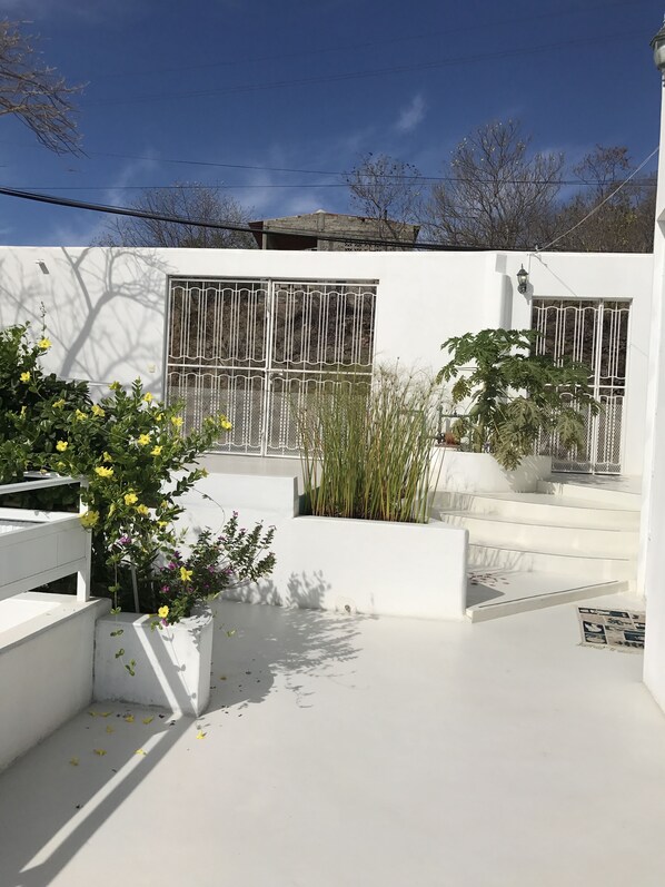 Un bâtiment blanc avec une grille en métal, un escalier et quelques plantes.