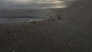 Een strand met nat zand en kleine kiezelsteentjes, een bewolkte lucht, en de zon die op- of ondergaat in de buurt van de horizon.