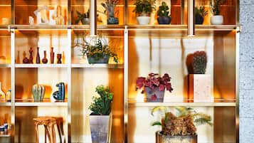 A wall of shelves with various potted plants and decorative items.