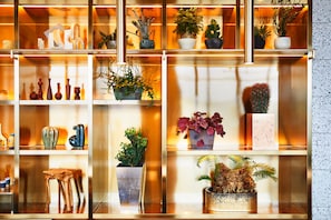 A wall of shelves with various potted plants and decorative items.