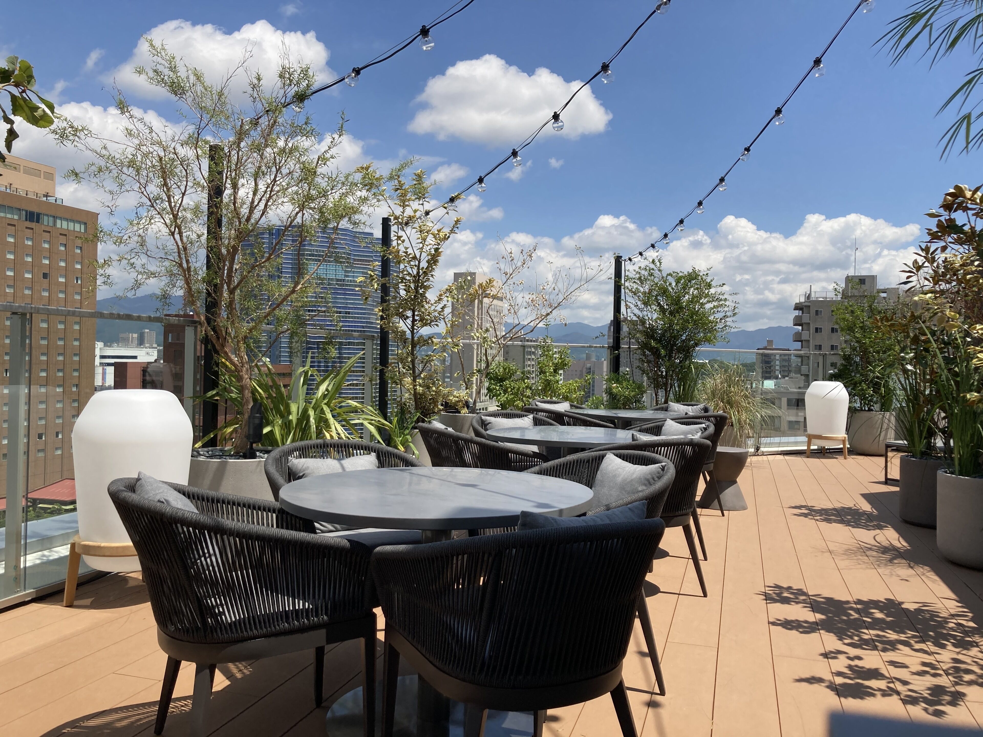 Terraza en la azotea con mobiliario exterior, plantas en macetas y vistas a edificios de la ciudad.