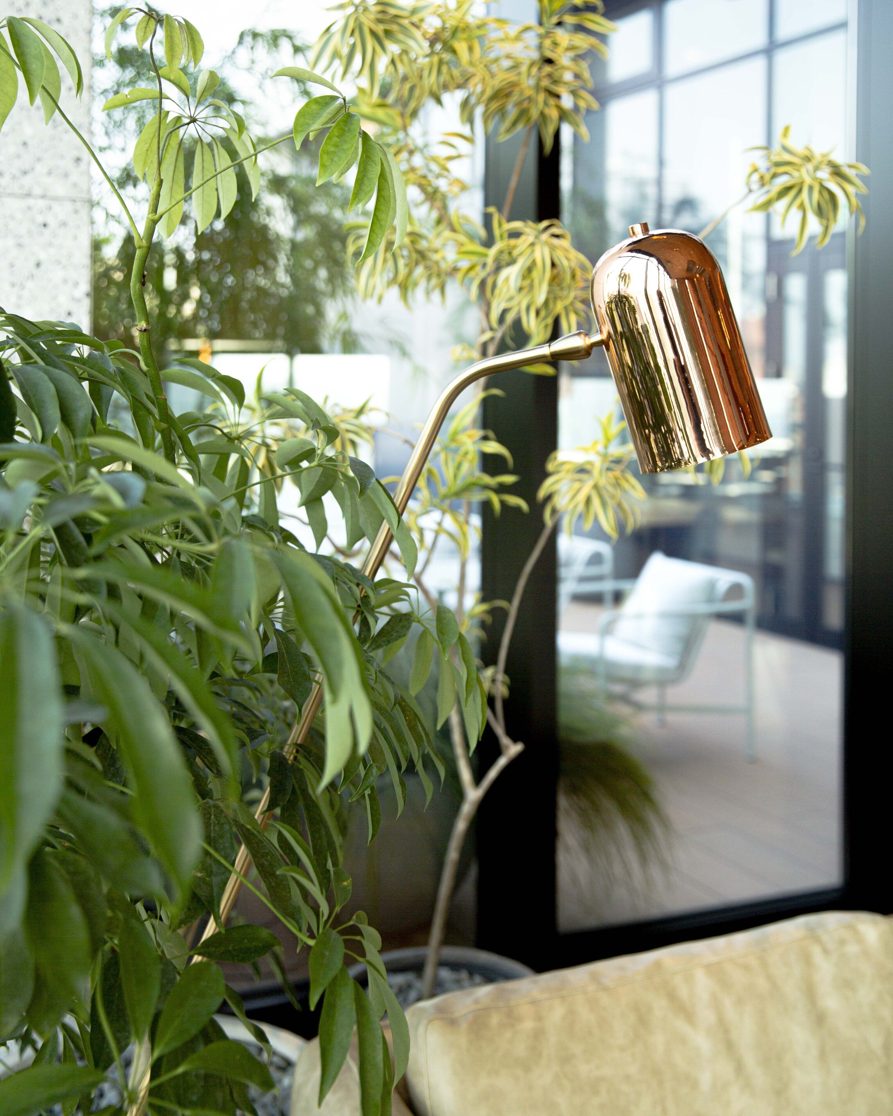 A modern indoor setting with a potted plant and a metallic lamp.