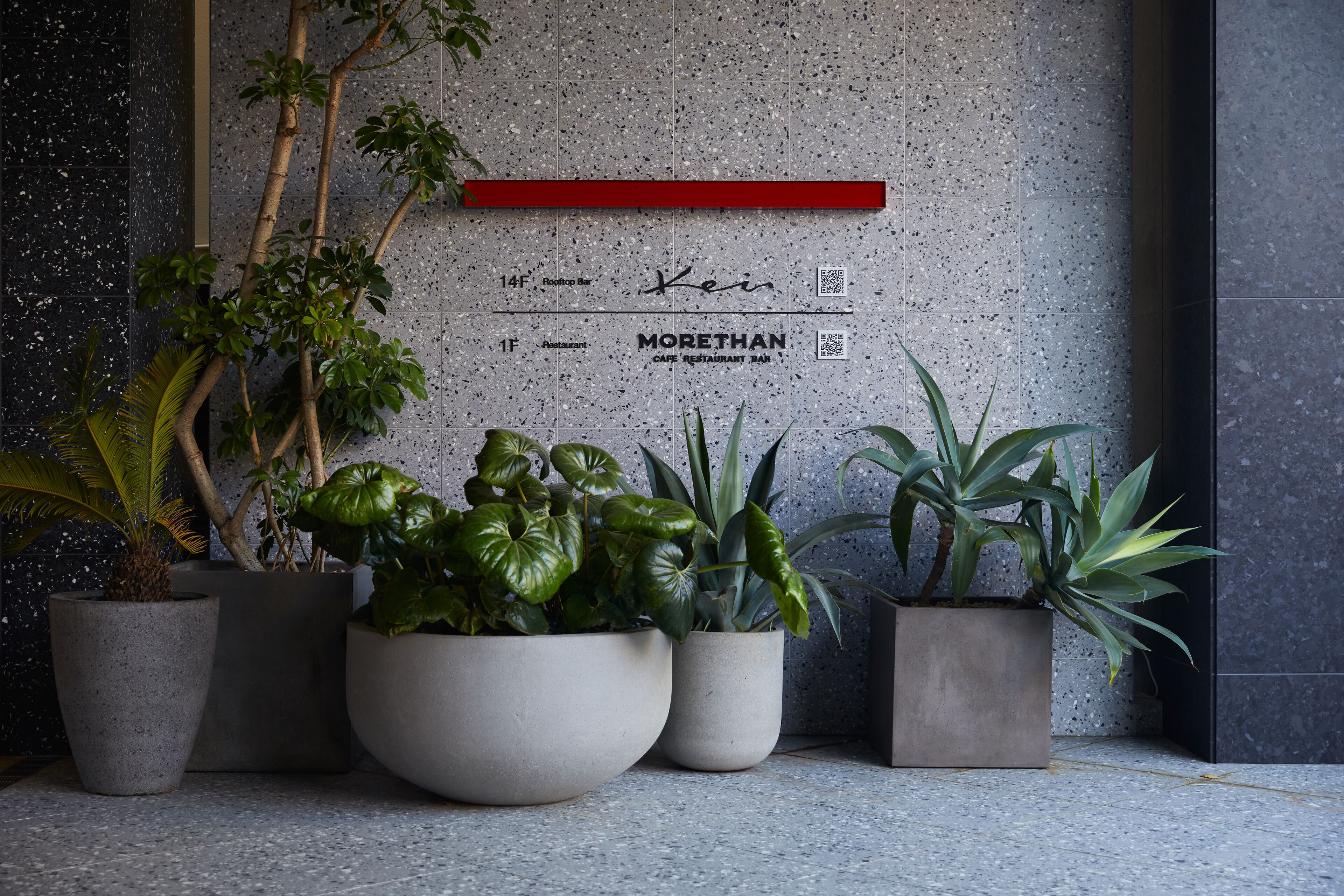 Un intérieur moderne avec un mur à motifs, une étagère rouge et des plantes en pot.