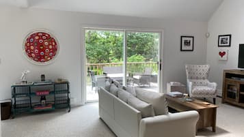 TV, fireplace, books