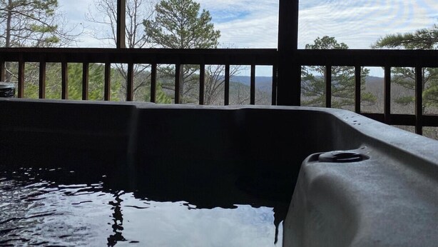 Un jacuzzi con vistas a árboles y un cielo nublado a través de una ventana.
