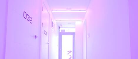 Habitación estándar doble | Escritorio, tabla de planchar con plancha, wifi gratis y ropa de cama