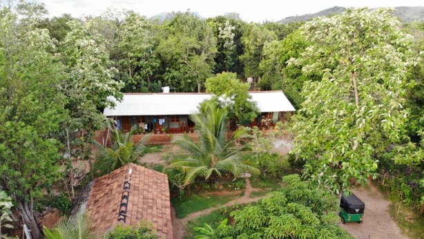 Una casa rodeada de abundante vegetación, con un área pavimentada al frente y un vehículo estacionado cerca.