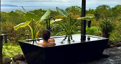 A Unique, Secluded Highland Cabin