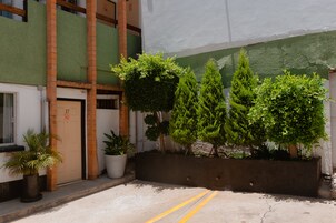 Un edificio con fachada verde, una puerta numerada 17 y una jardinera con arbustos diversos.